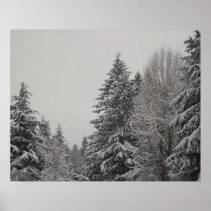 Póster Bosque de invierno