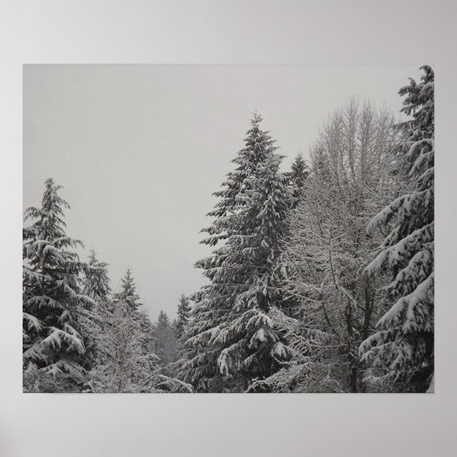 Póster Bosque de invierno (Frente)