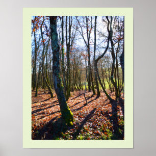 Póster Bosque de invierno en Francia
