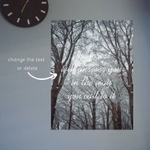 Bosque de Invierno Foggy