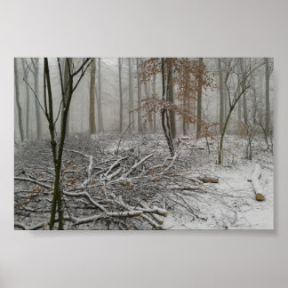 Póster Bosque de invierno nevado