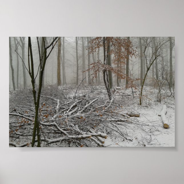 Póster Bosque de invierno nevado (Frente)
