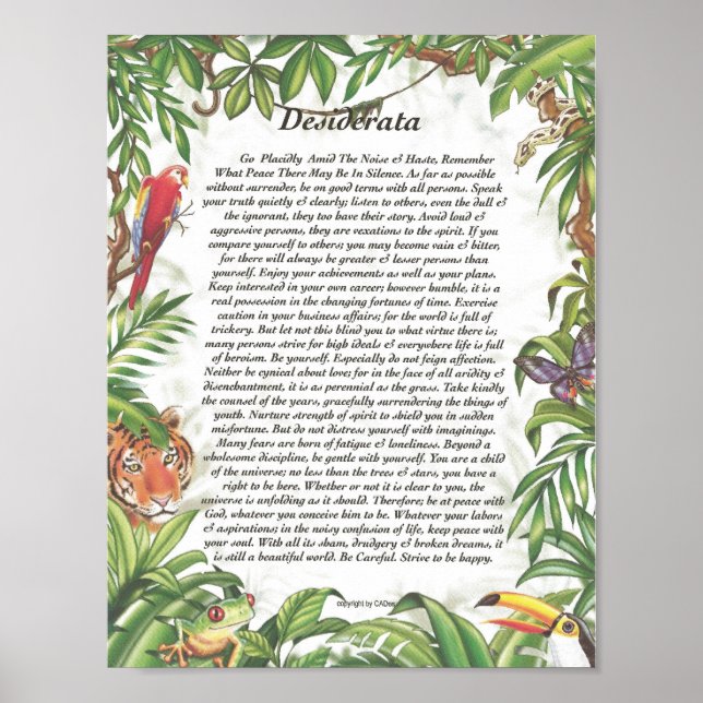 Póster Bosque de lluvias tropicales DESIDERATA (Frente)
