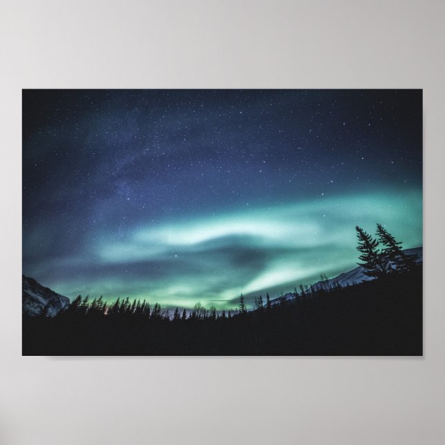 Póster Bosque de luces del norte (Frente)