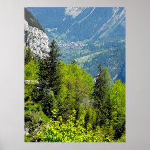 Póster Bosque de montaña en los alpes suizos