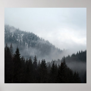 Póster Bosque de Montaña Misty: Vista panorámica