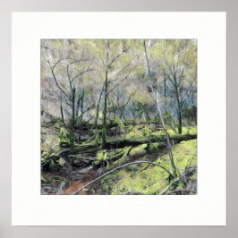 Póster Bosque de Mossy