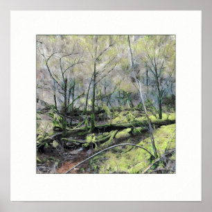 Póster Bosque de Mossy