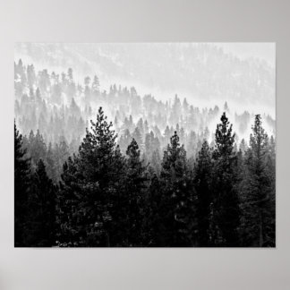 Póster bosque de niebla