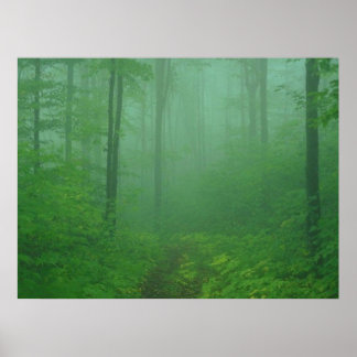 Póster Bosque de niebla