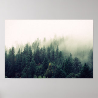 Póster Bosque de niebla