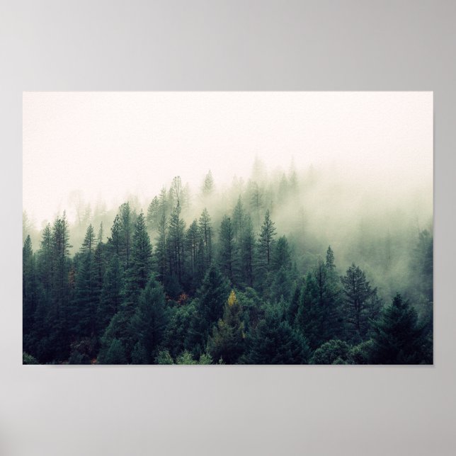 Póster Bosque de niebla (Frente)