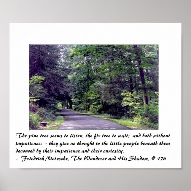 Póster Bosque de Nietzsche - poster (Frente)
