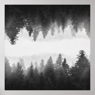 Póster Bosque de nitrógeno negro y blanco