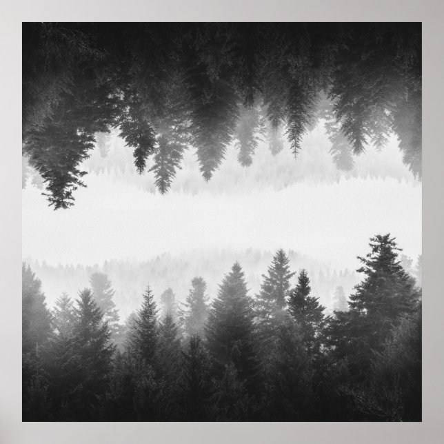 Póster Bosque de nitrógeno negro y blanco (Frente)