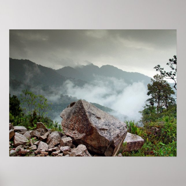 Póster Bosque de nube (Frente)