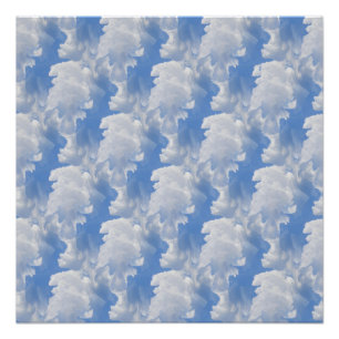 Póster Bosque de nubes.