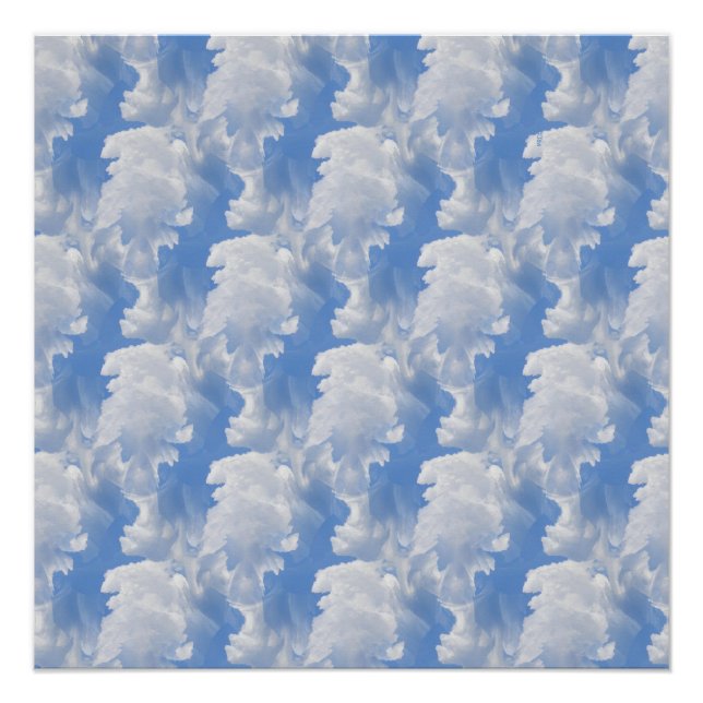 Póster Bosque de nubes. (Anverso)