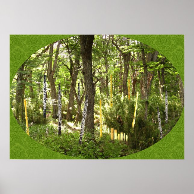 Póster Bosque de Oboe (Frente)