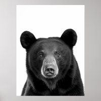 Bosque de Oso Negro Retrato Moderno blanco negro