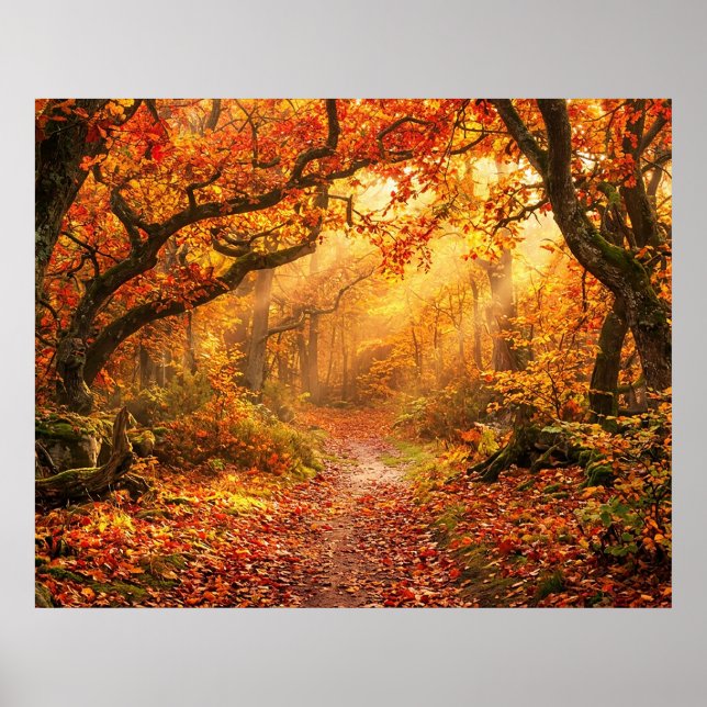 Póster Bosque de Otoño (Frente)