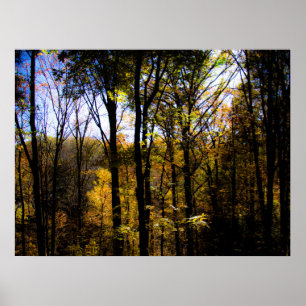 Póster Bosque de otoño
