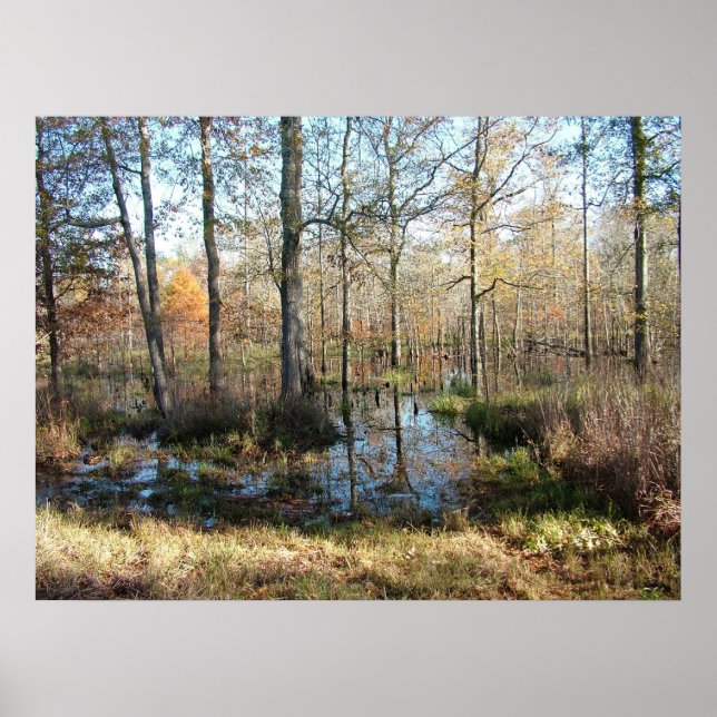 Póster Bosque de otoño (Frente)