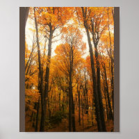 Bosque de otoño naranja