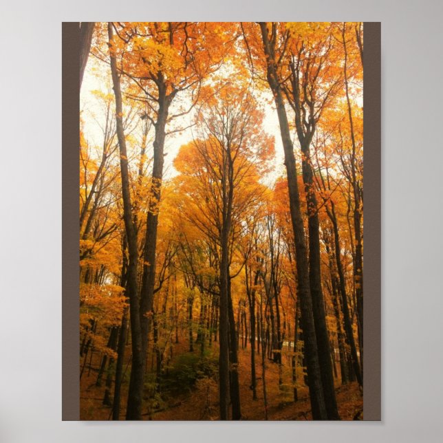 Póster Bosque de otoño naranja (Frente)