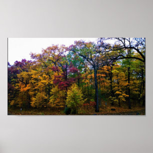 Póster Bosque de otoño oscuro