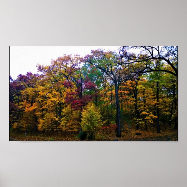 Póster Bosque de otoño oscuro (Frente)