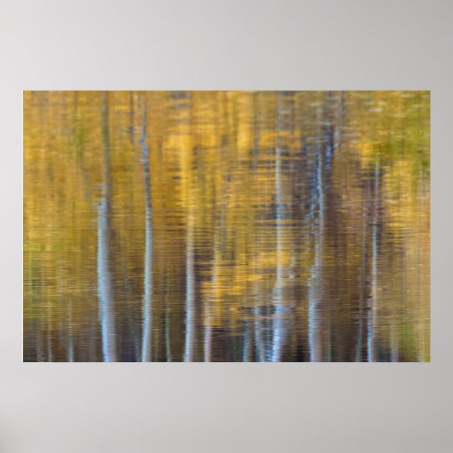Póster Bosque de otoño reflejo abstracto (Frente)