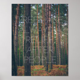 Póster Bosque de pino