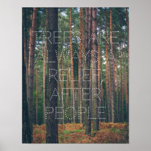 Póster Bosque de pino