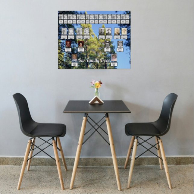 Póster Bosque de Pino Árbol Foto 2 Árboles familiares (Subido por el creador)