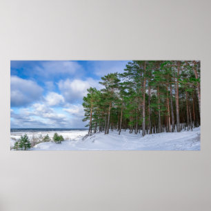 Póster Bosque de pino cerca de la costa marítima de Leton