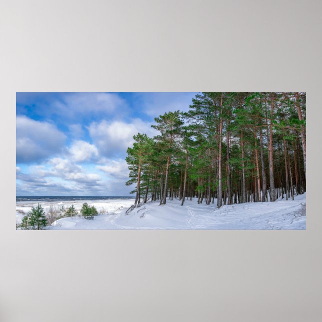 Póster Bosque de pino cerca de la costa marítima de Leton (Frente)