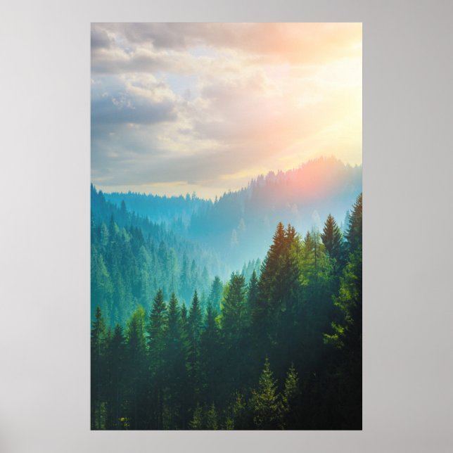 Póster Bosque de pinos en los Dolomitas, Italia (Frente)