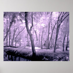 Póster Bosque de Samurai