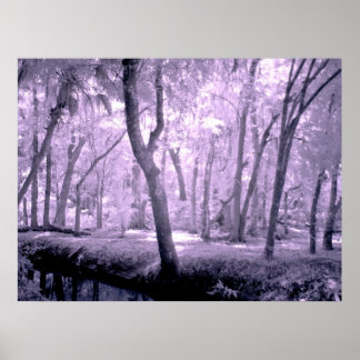Póster Bosque de Samurai