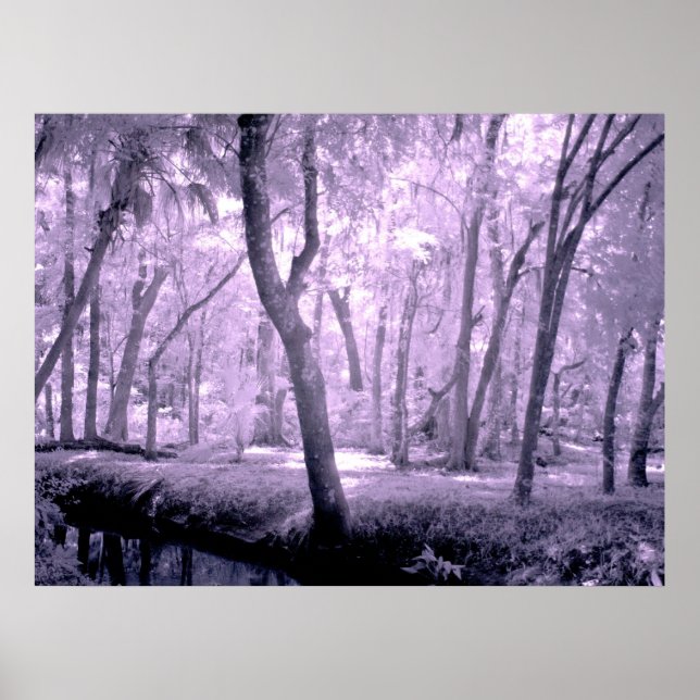 Póster Bosque de Samurai (Frente)