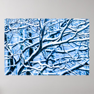 Póster bosque de tiempo de navidades