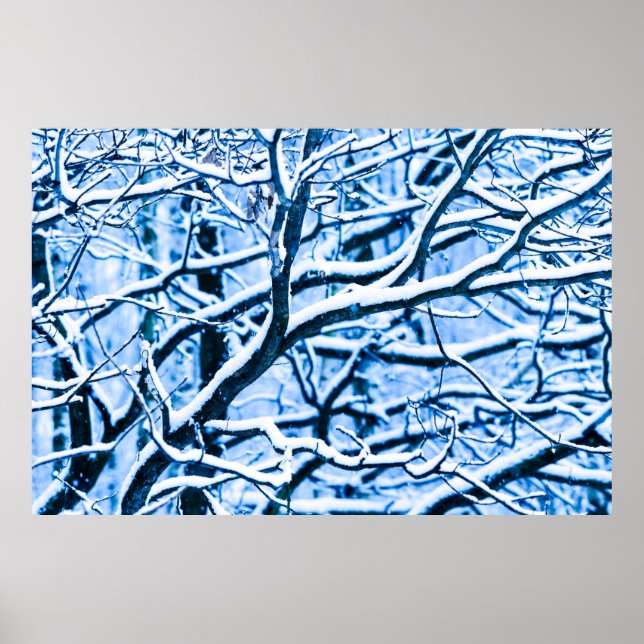 Póster bosque de tiempo de navidades (Frente)