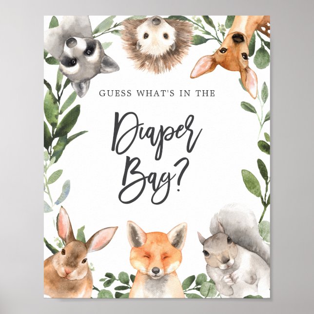 Póster Bosque de Woodland adivina qué hay en la bolsa de  (Frente)