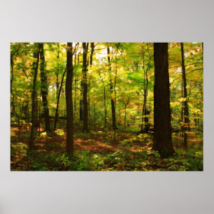 Póster "Bosque del arce "