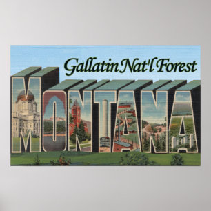 Póster Bosque del Estado de la galatina, Montana