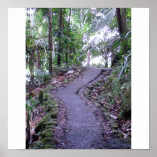Póster Bosque del Estado del EL Yunque
