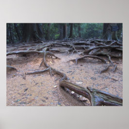 Póster Bosque del monte Kurama