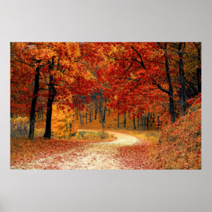 Póster Bosque del otoño