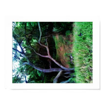 Bosque del río Sacramento